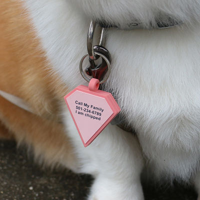 BPA içermeyen silikon sessiz köpek etiketleri renkli silikon köpek boynuz etiketleri satışa sunuluyor benzersiz silikon köpek kimlik etiketleri aksesuarlar