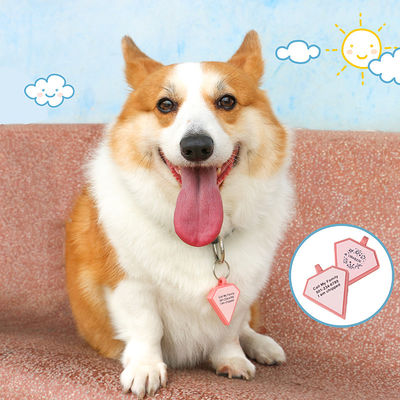 PAISEN Kişiselleştirilmiş Özel Köpek Etiketleri 3 boyutlu QR kodu ile kazınmış Köpekler Kedi Yaka Silicone Evcil hayvan etiketi
