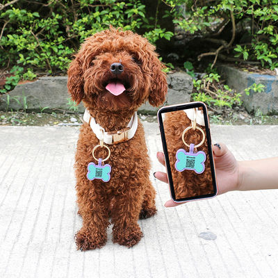 PAISEN Kişiselleştirilmiş Özel Köpek Etiketleri 3 boyutlu QR kodu ile kazınmış Köpekler Kedi Yaka Silicone Evcil hayvan etiketi