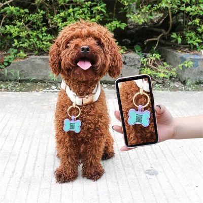 Toptan satış düşük MOQ Ucuz farklı şekil seçenekler için birçok renk silikon boş köpek etiketi isim kimlik etiketi